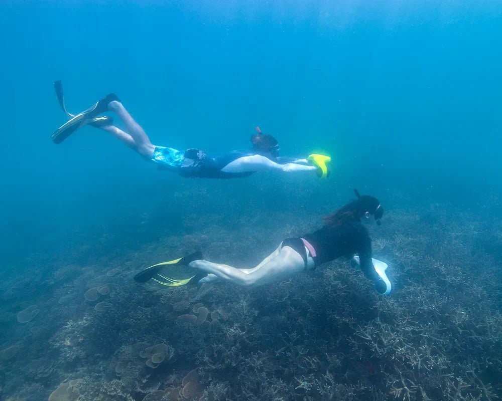Explore Recreational Diving: Start Your Underwater Adventure - Asiwo Sports