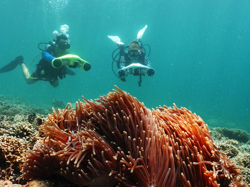 How Deep Can the ASIWO Manta Underwater Scooter Go? - Asiwo Sports