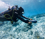 universal-underwater-scooter-asiwo-u1-for-diving