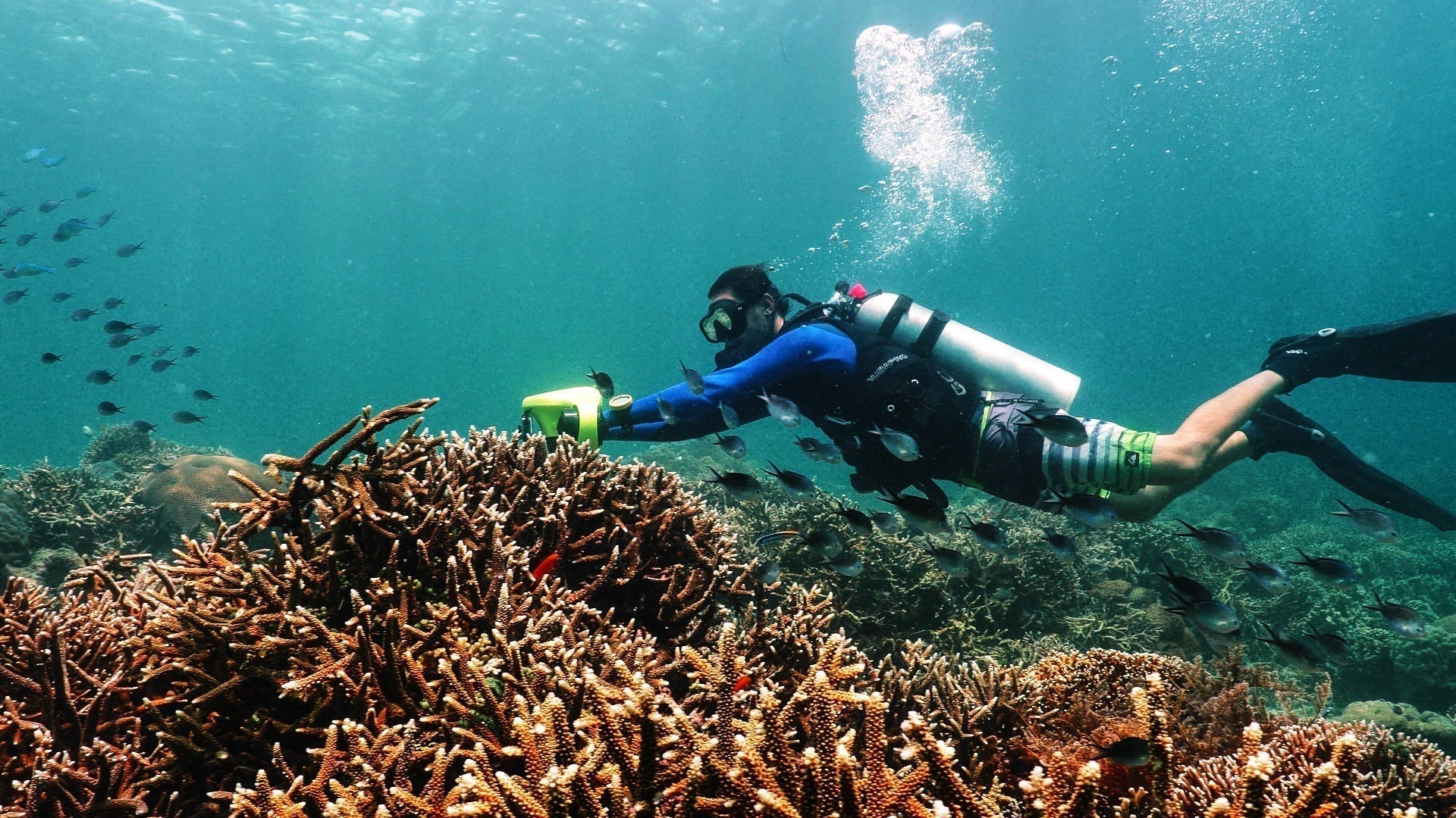 Best Spots in Europe to Learn Scuba Diving: Top 5 Destinations