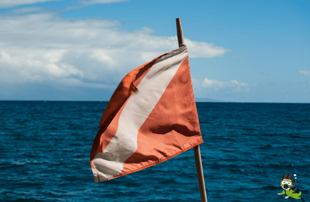 How to Use a Dive Flag When Snorkeling and Diving: Safety Buoys and Tow Line Rigging