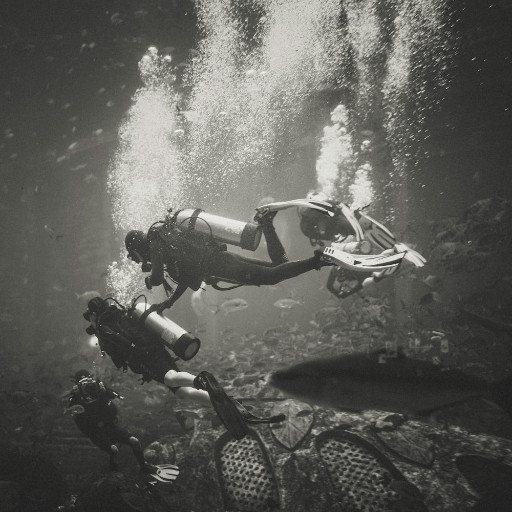a person in a scuba suit diving in the water