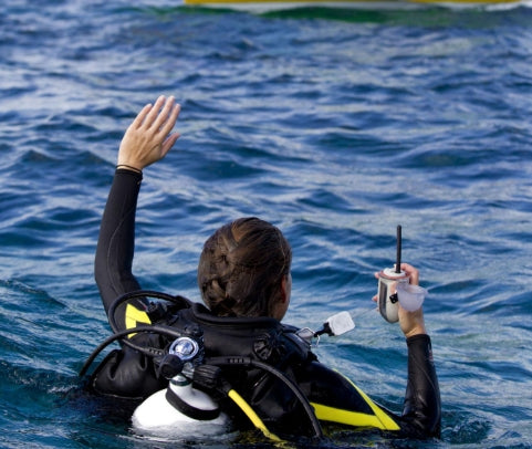 snorkeler staying on the surface signaling for help